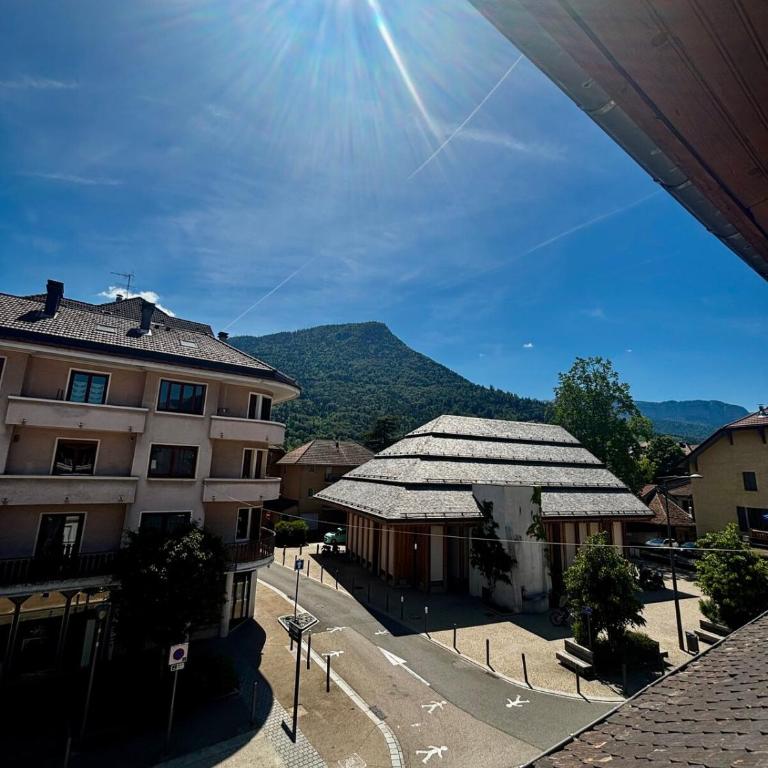 Studio in the heart of the city - Close to the lake and the mountains - Appartement 1 Chambre - 8