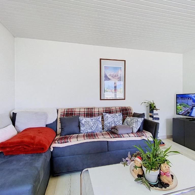 Two bedroom apartment, Hypercenter, terrace Mont Blanc, parking - Two-Bedroom Apartment - 4