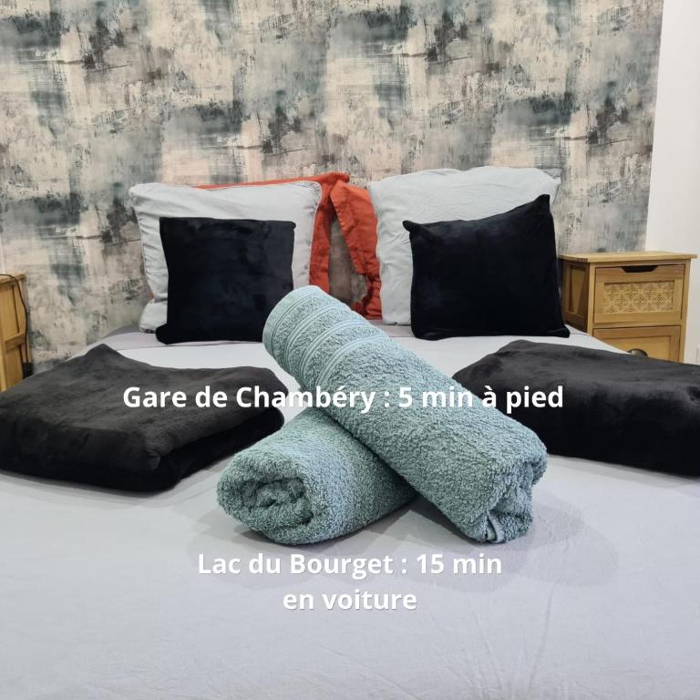 Gambetta Insolite - Appartement 1 Chambre - 15