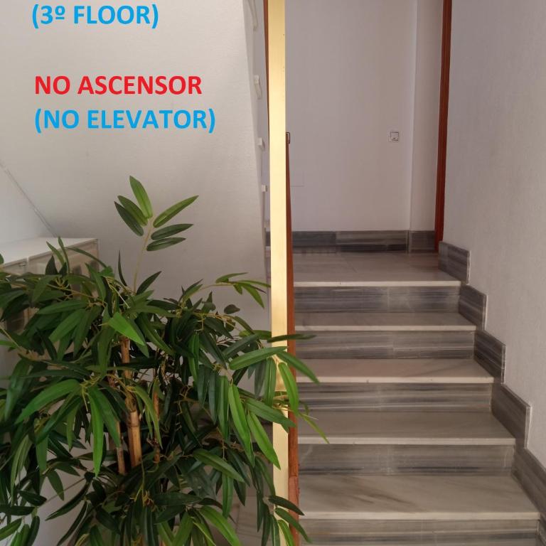 LAS BRISAS sunset beach - Apartamento de 2 dormitorios con balcón y vistas al mar - 5