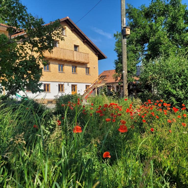 Natur Pur - Apartment mit 1 Schlafzimmer - 35