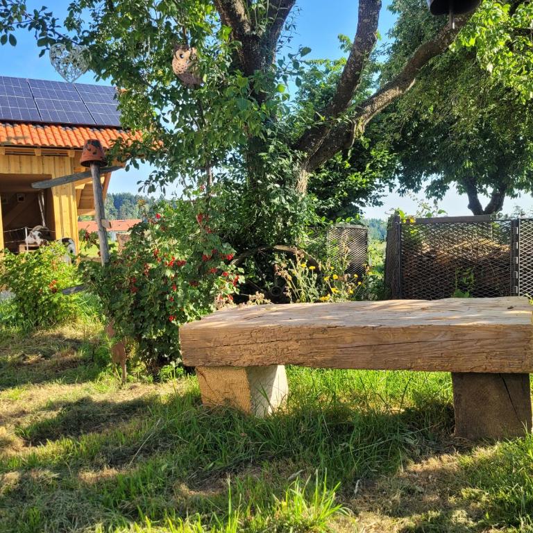 Natur Pur - Apartment mit 1 Schlafzimmer - 36