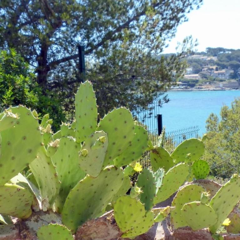 Apartment with garden 200 m from the beach - Apartment - 15