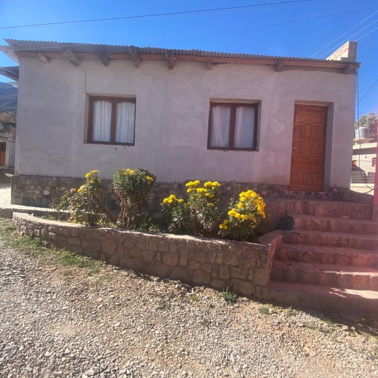 Posada Yacoraite Tilcara jujuy - Apartment - 1