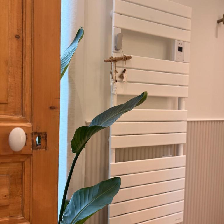 L'Échappée Malouine - Appartement 1 Chambre - 5