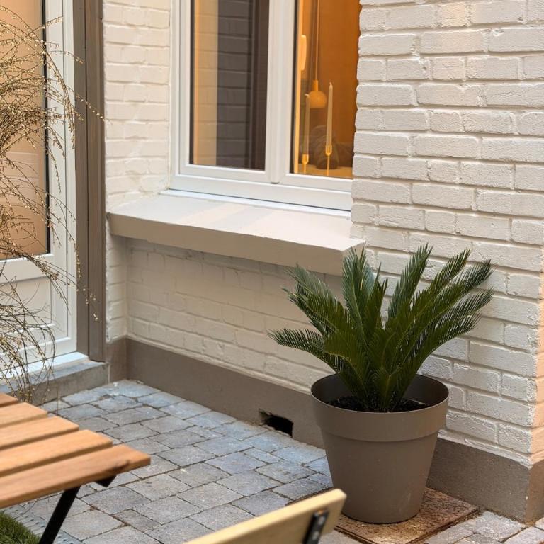 L'Échappée Malouine - Appartement 1 Chambre - 41