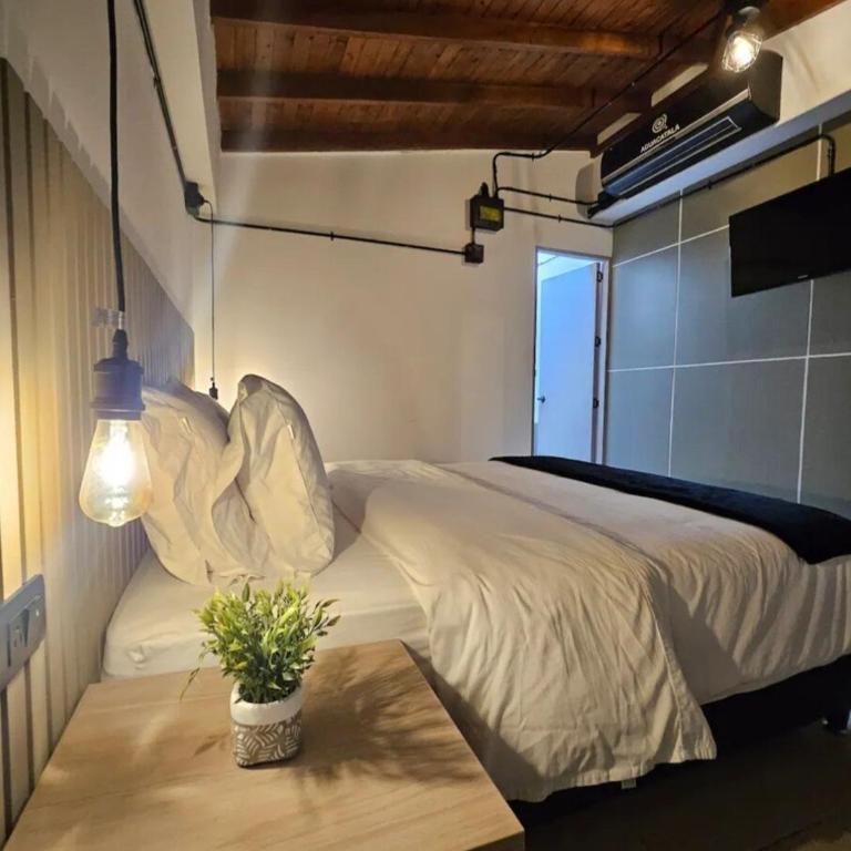Tierra Cozy Room in El Poblado, Medellin - One-Bedroom Apartment - 2