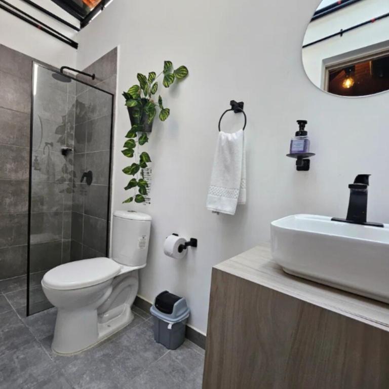 Tierra Cozy Room in El Poblado, Medellin - One-Bedroom Apartment - 4