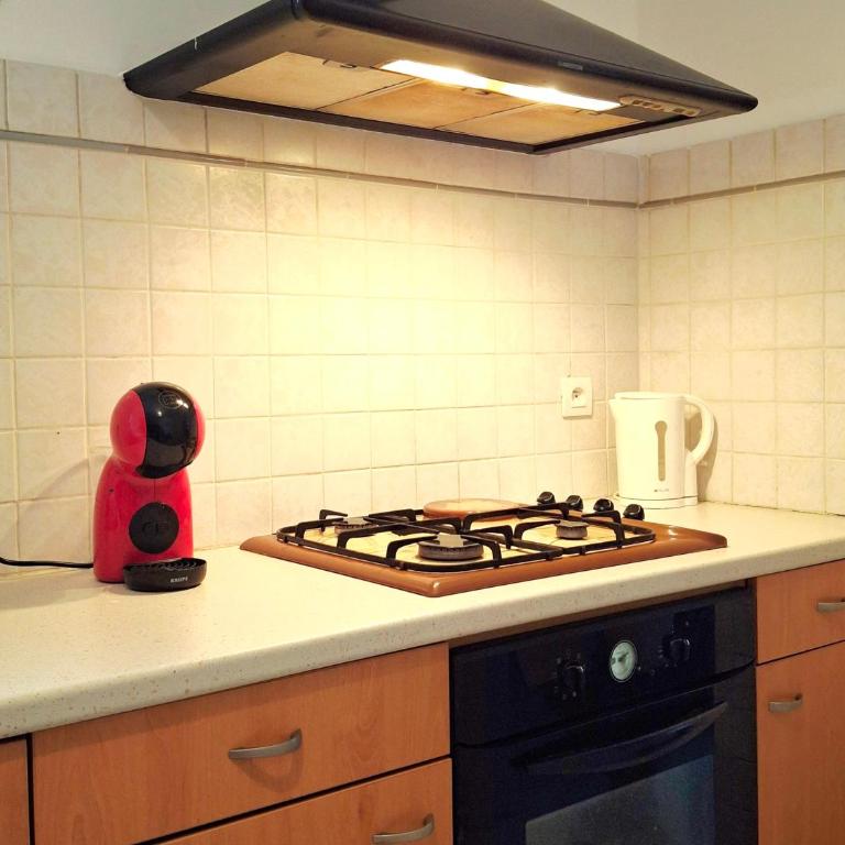appartement en entier avec vue imprenable sur la cathédrale - Apartment mit 2 Schlafzimmern - 12