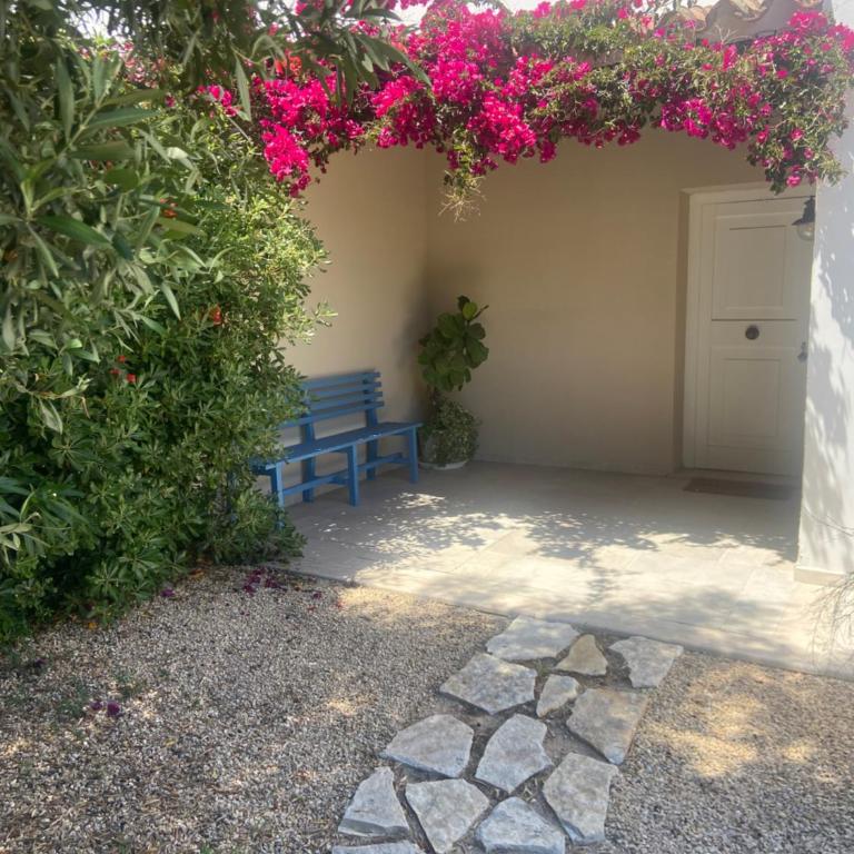 Villa Olga con accesso privato alla spiaggia di Nora - Villa - 2