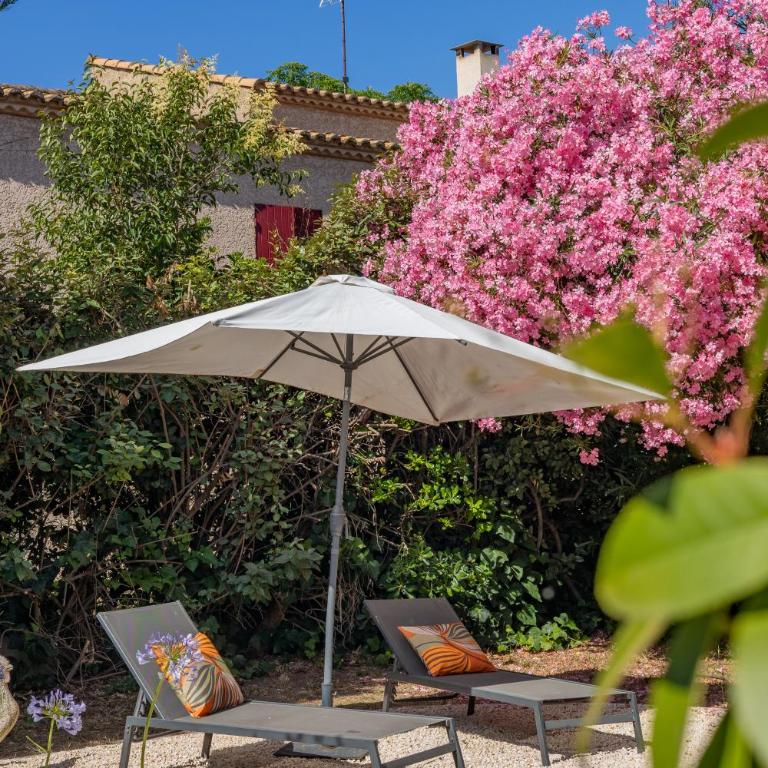 La Suite du Mas Lauseta - Charme et Authenticité, à 5mn des remparts - Monolocale Deluxe - 11