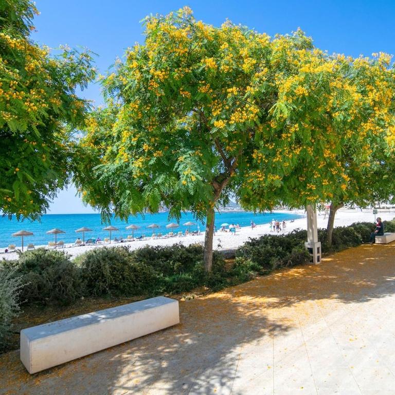 Nova Altea - Sea View, Pool & Parking - Apartment mit 1 Schlafzimmer - 24