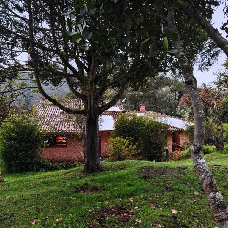 La Calera pueblo fantasma - Four-Bedroom House - 11