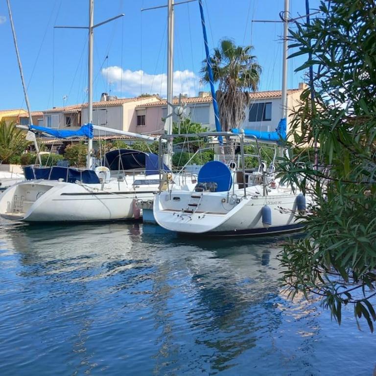 Petite marina, terrasse, véranda, pied dans l'eau - Apartment mit 1 Schlafzimmer - 10