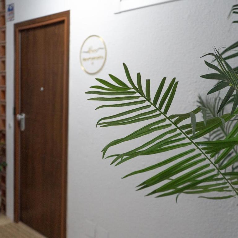 Alma del Mar - Two-Bedroom Apartment - 14