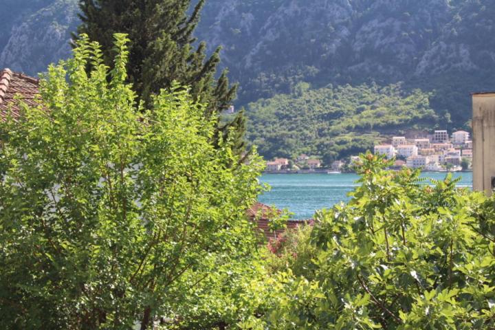 Sunshine Apartment - Apartman sa 2 Spavaće Sobe - 2