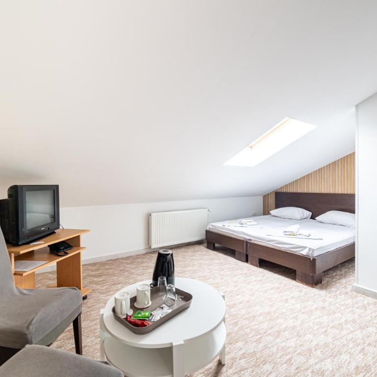 Aparthotel HayatHills - Niskobudžetna Dvokrevetna Soba sa Bračnim Krevetom - 5