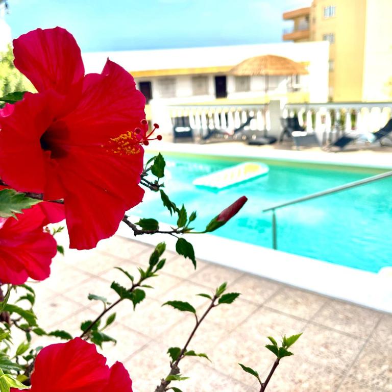 Villa con jardin y piscina privada zona Burriana - Apartment - 31