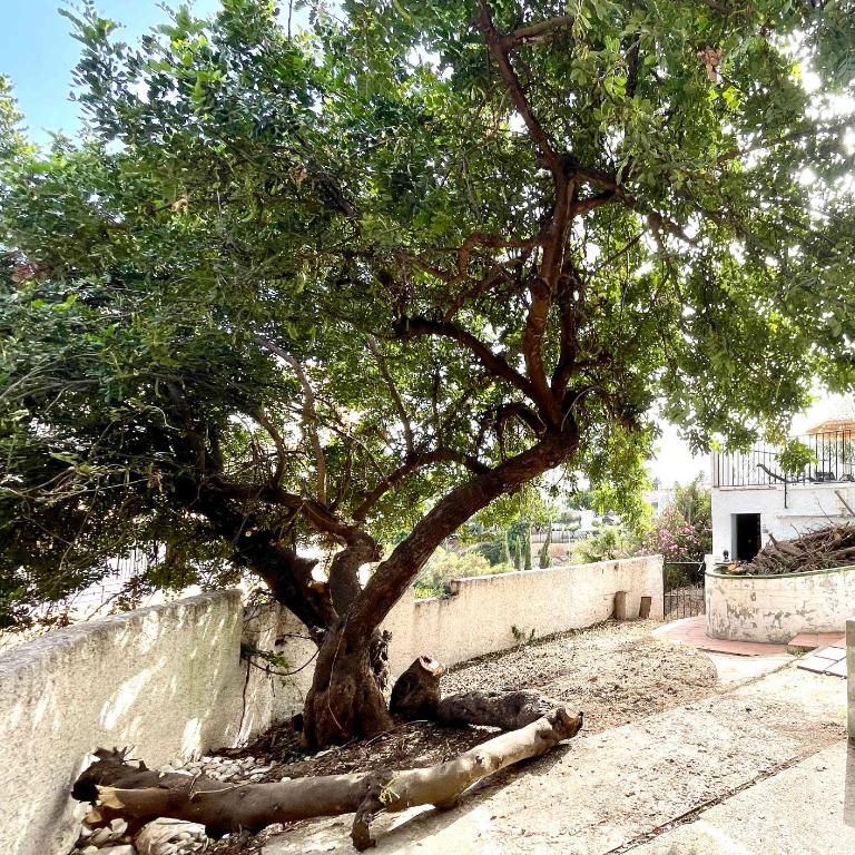 Villa con jardin y piscina privada zona Burriana - Apartment - 33