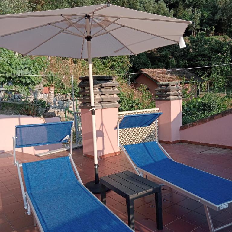 Roses House - One-Bedroom Apartment with Garden View - 38