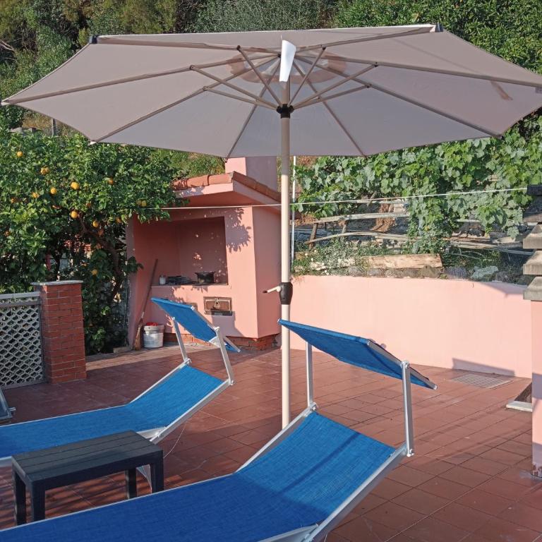 Roses House - One-Bedroom Apartment with Garden View - 36