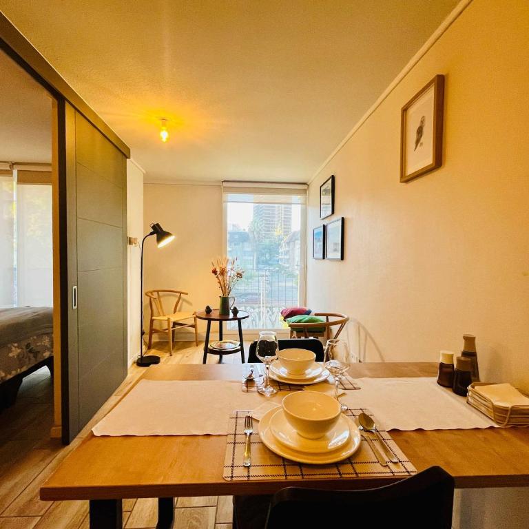 Modern Studio in Downtown Santiago Parking AC Gym - One-Bedroom Apartment - 10