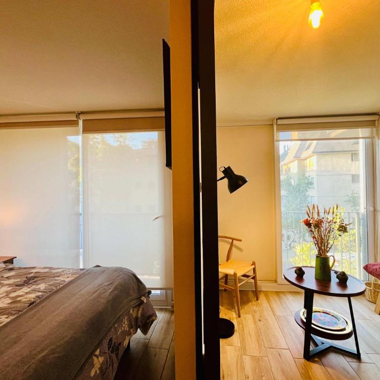 Modern Studio in Downtown Santiago Parking AC Gym - One-Bedroom Apartment - 16