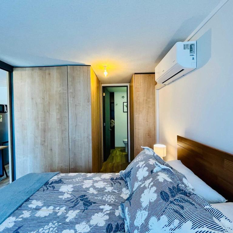 Modern Studio in Downtown Santiago Parking AC Gym - One-Bedroom Apartment - 17