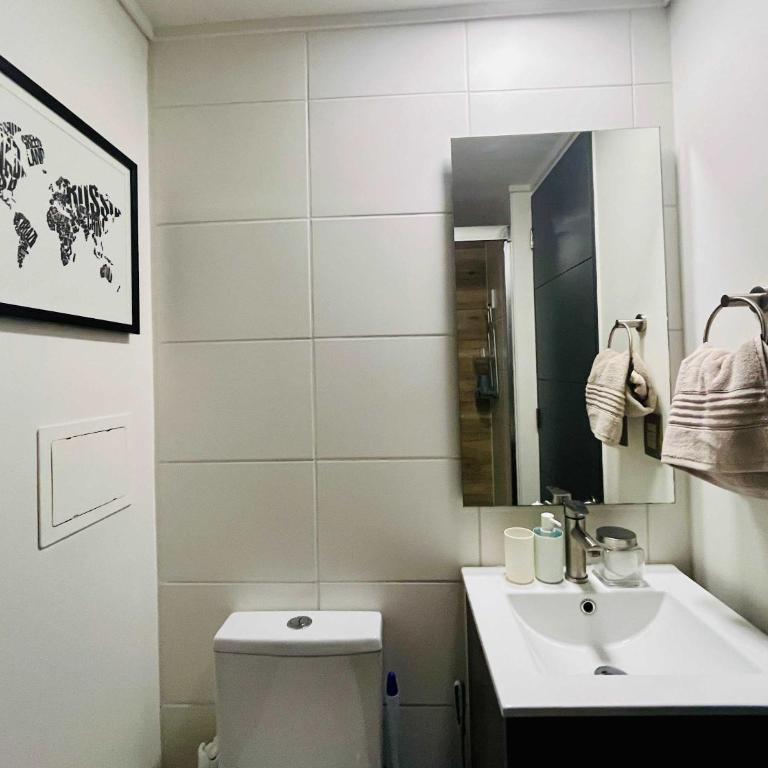 Modern Studio in Downtown Santiago Parking AC Gym - One-Bedroom Apartment - 24