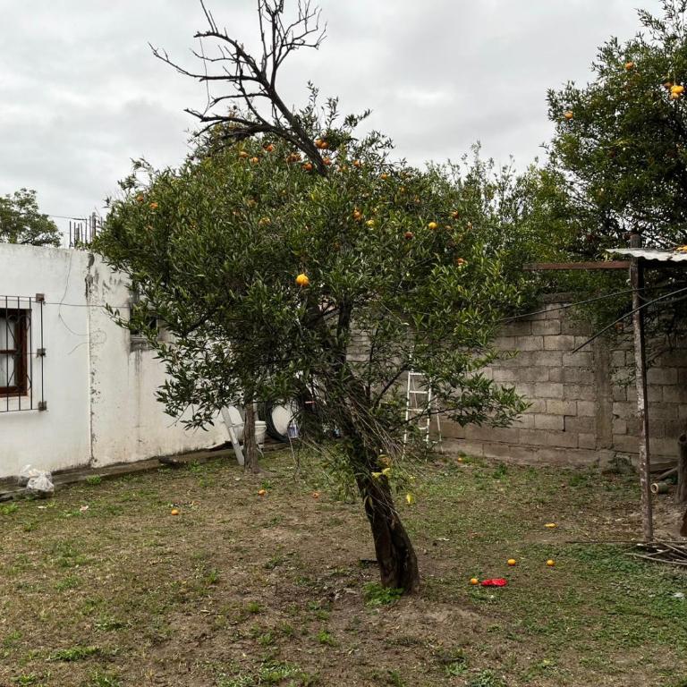 Hostal Margaritas - Apartamento de 1 dormitorio - 2
