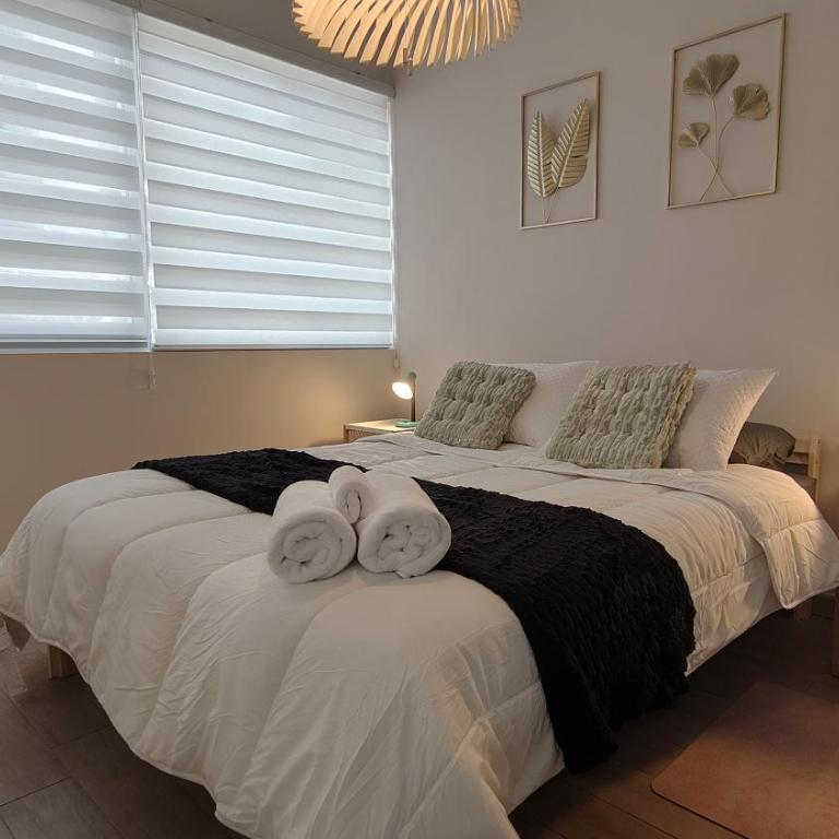 Oceana Suites Refugio en Briones Luco - One-Bedroom Apartment - 1