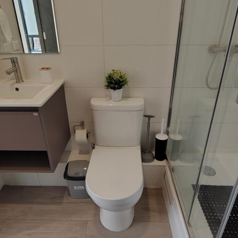 Oceana Suites Refugio en Briones Luco - One-Bedroom Apartment - 16