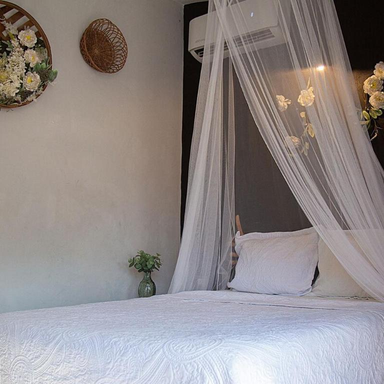Casa Bohemia Mérida Centro - Maison 1 Chambre - 4