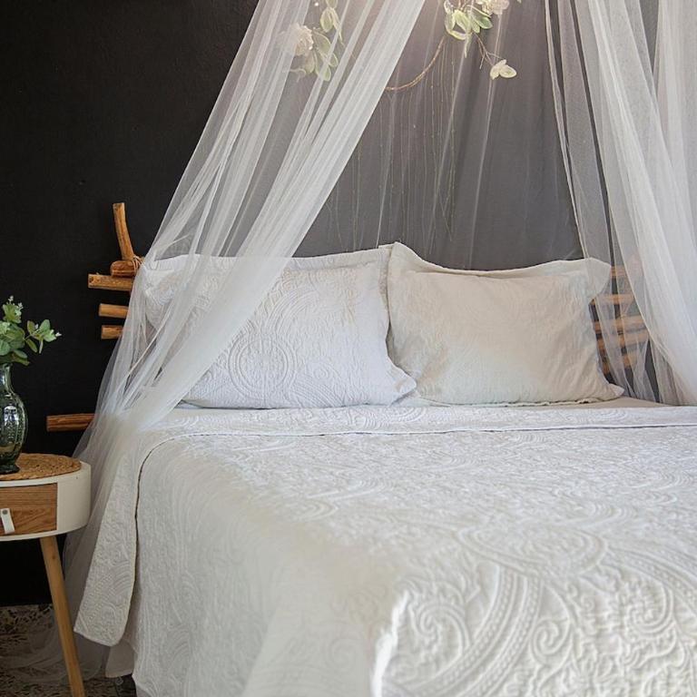 Casa Bohemia Mérida Centro - Maison 1 Chambre - 11