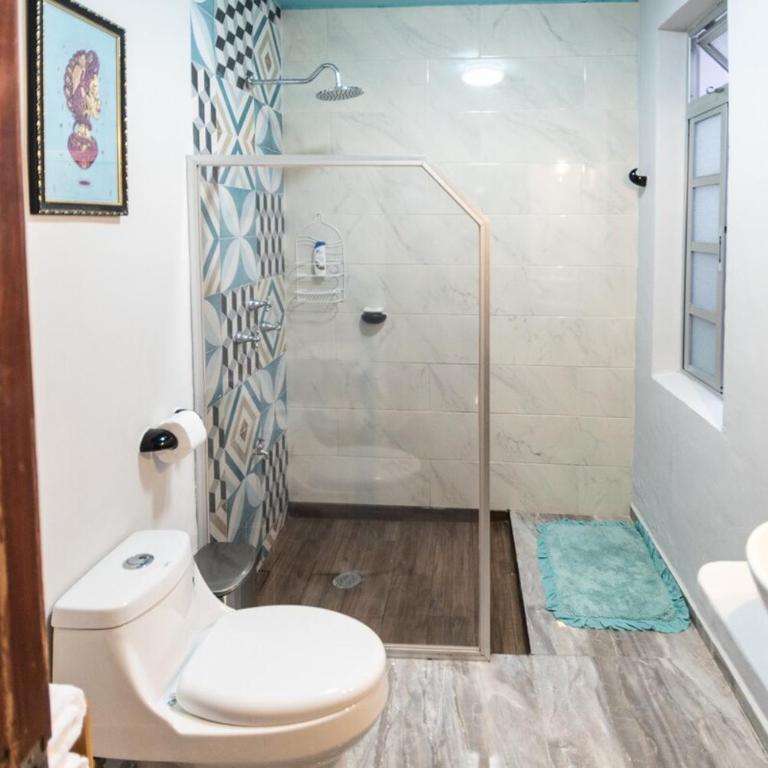 Casa Bohemia Mérida Centro - Maison 1 Chambre - 20