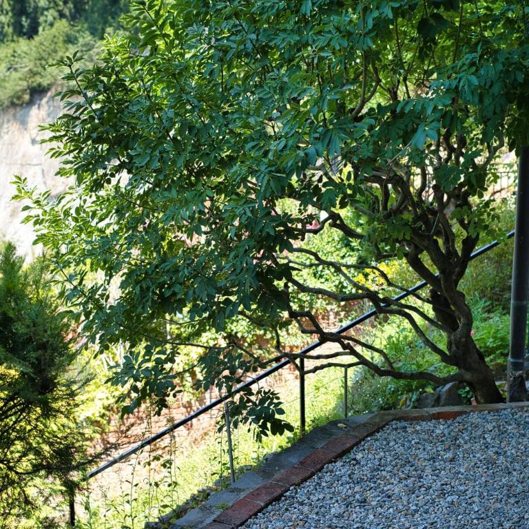 Villa Varenna - Terrazza sul Lago - Villa - 77