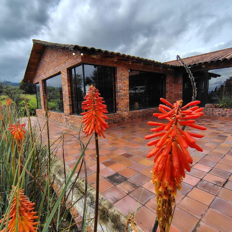 La Toscana, Chalet Campestre - Casa de 3 dormitorios - 1