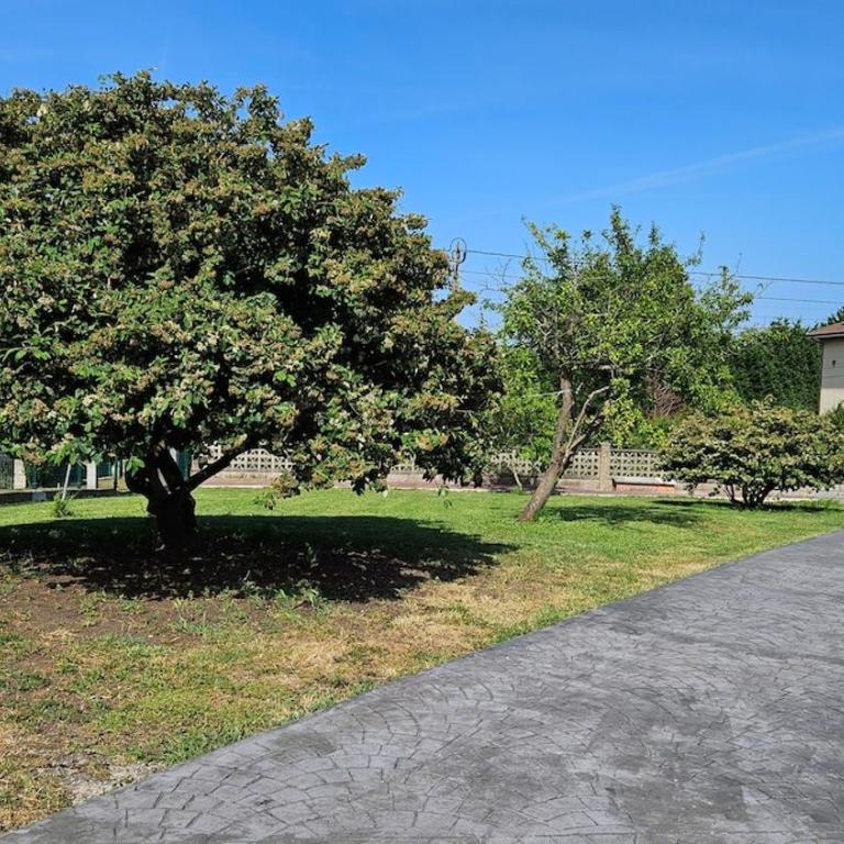 Villa de Lujo en Gijón, Piscina Climatizada, Bar - Villa - 35