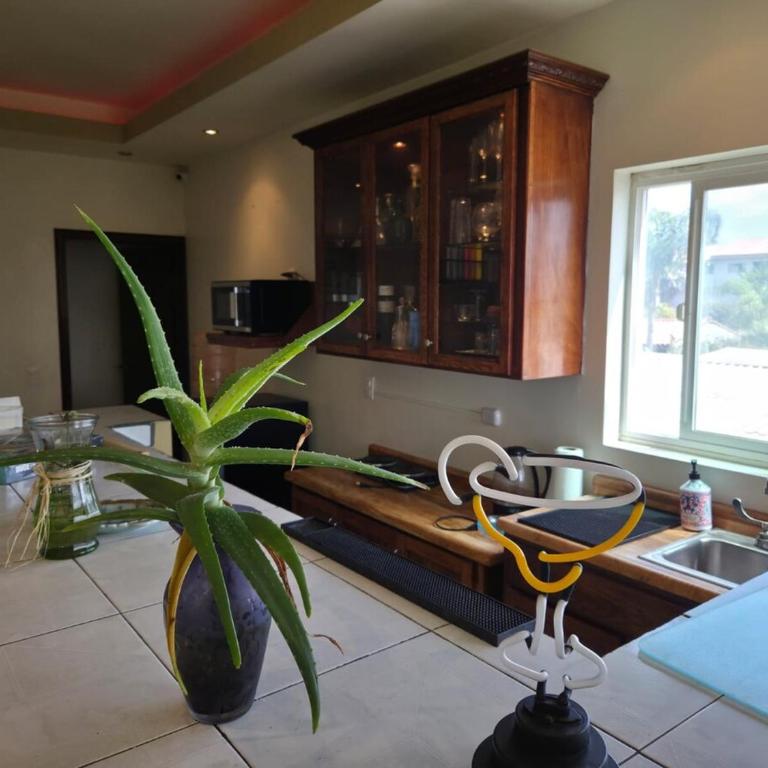 Beach house and ocean view - Casa con 1 dormitorio - 25