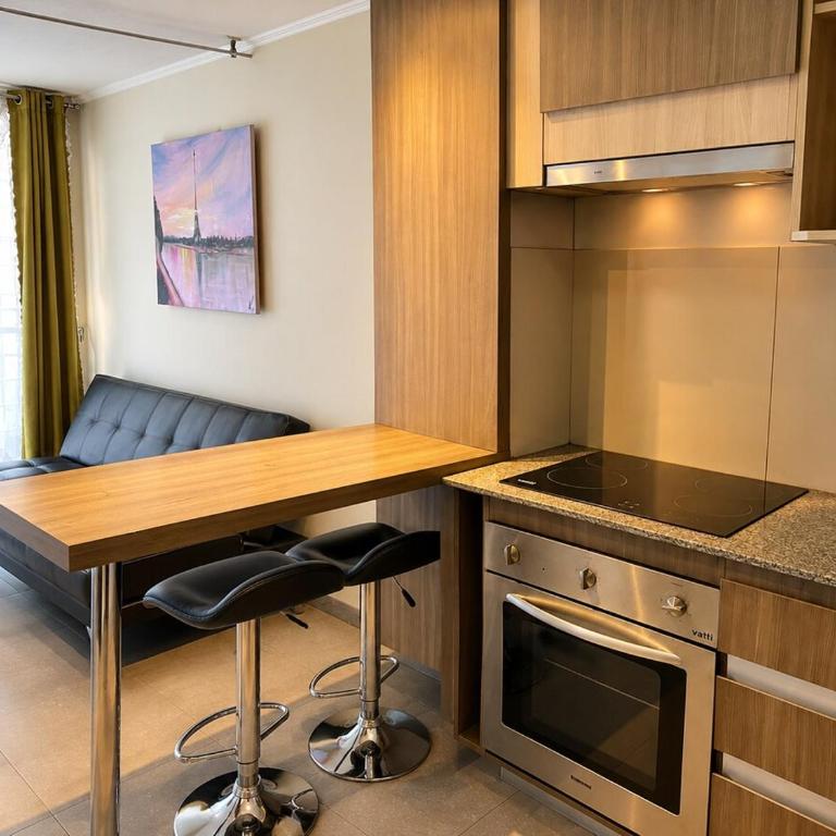 Depto privado en Rosas pleno Santiago centro - One-Bedroom Apartment - 12