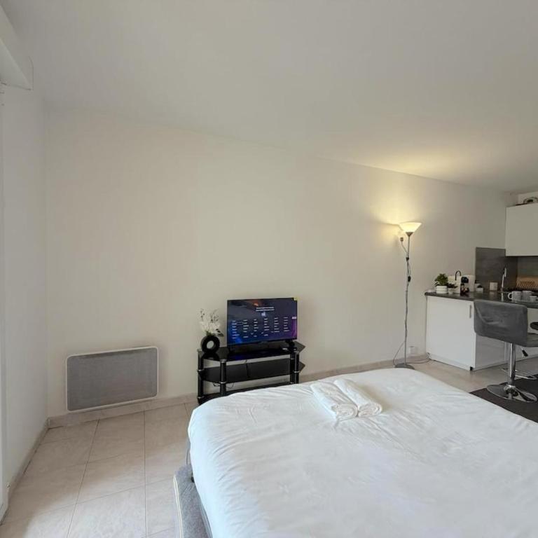 Charming cozy studio with sunny balcony - Appartement 1 Chambre - 11
