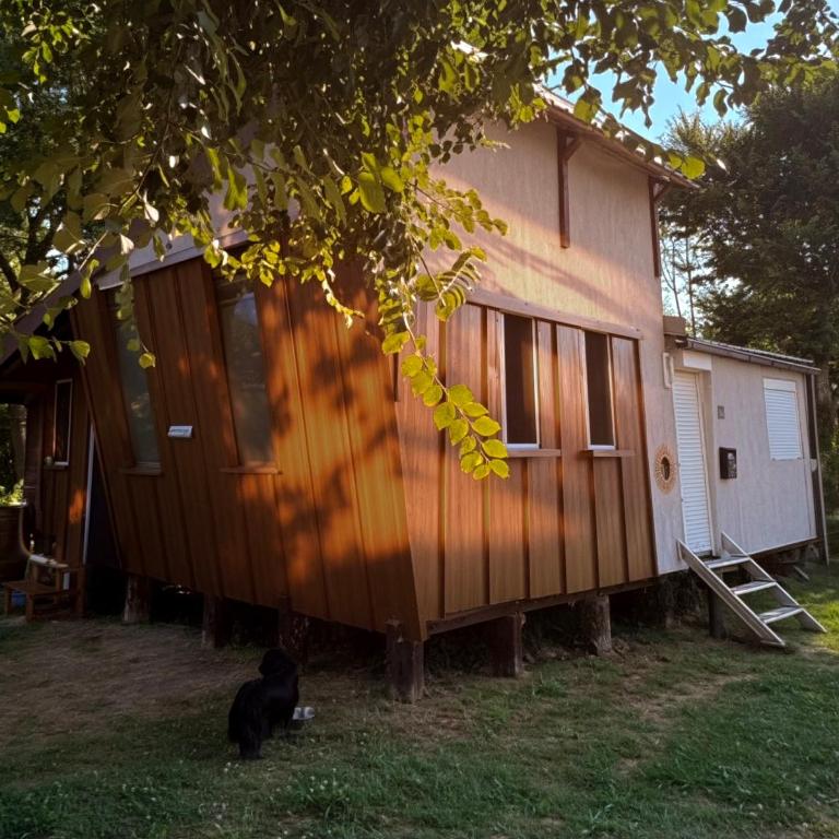 Lela Holiday Home Ada Bojana - Kuća sa 1 Spavaćom Sobom - 13