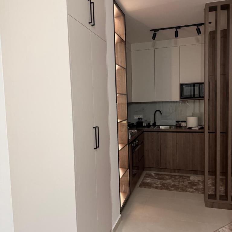 Harmony Apartment with Garage Parking - One-Bedroom Apartment - 6