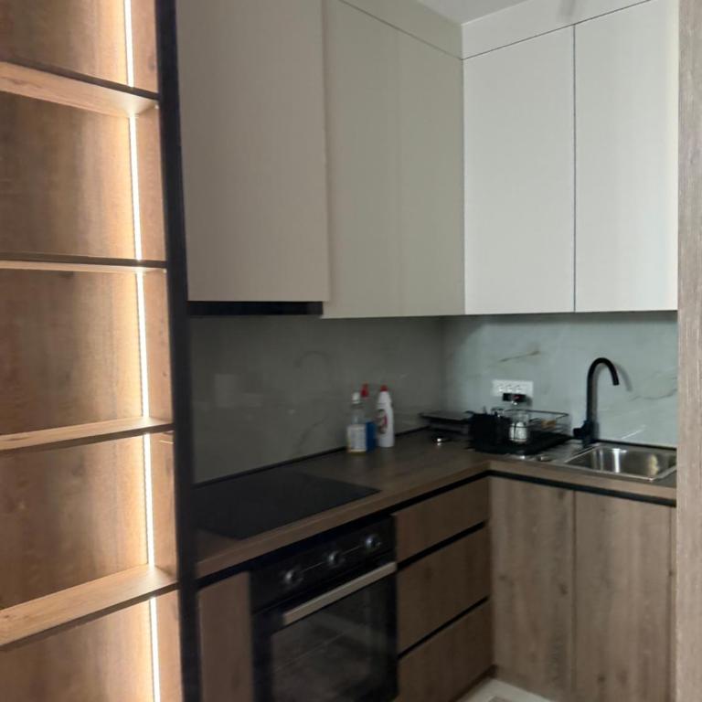 Harmony Apartment with Garage Parking - One-Bedroom Apartment - 30