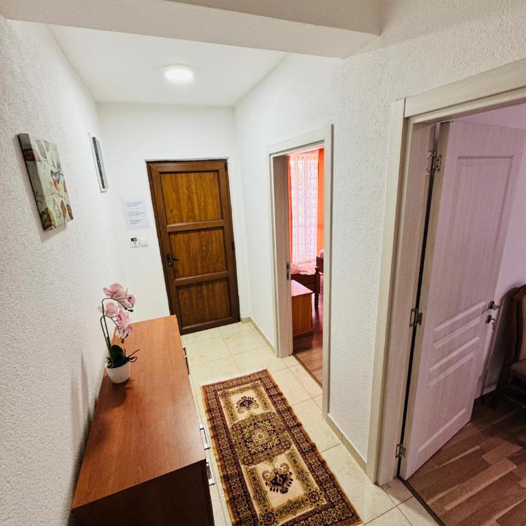 Berin Apartments - Apartman s 1 Spavaćom Sobom i Balkonom - 13