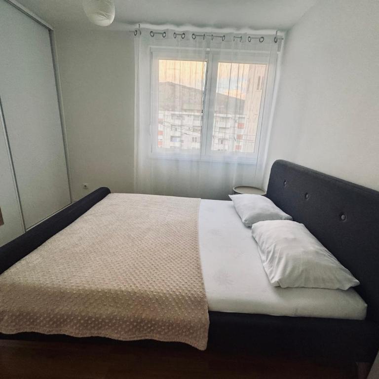 Bloom Apartment - One-Bedroom Apartment - 8