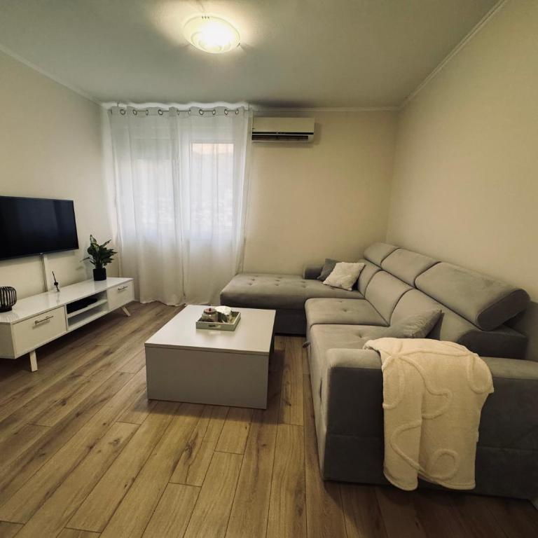 Bloom Apartment - One-Bedroom Apartment - 1