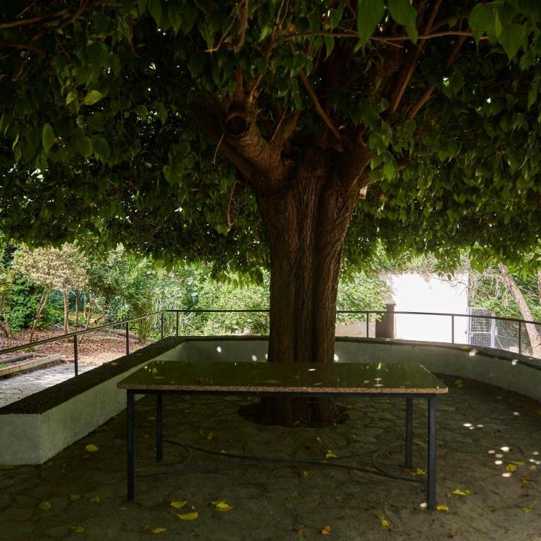 Huerta del Cañamares - Appartamento con doccia - 34