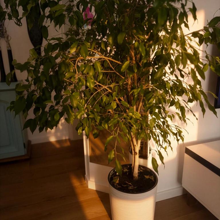Happy Art Home Belgrade - One-Bedroom Apartment - 11