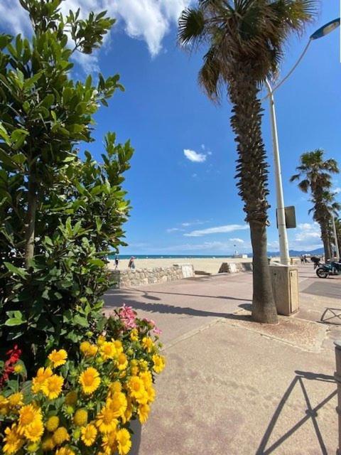 AppartementT2 vue panoramique 4ARAX31 Superb loft with panoramic sea view - One-Bedroom Apartment - 19